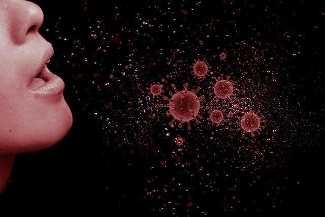 Las tres enfermedades víricas más comunes en humanos
