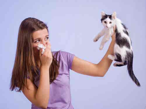 Si tienes alergia a los gatos, esto te interesa