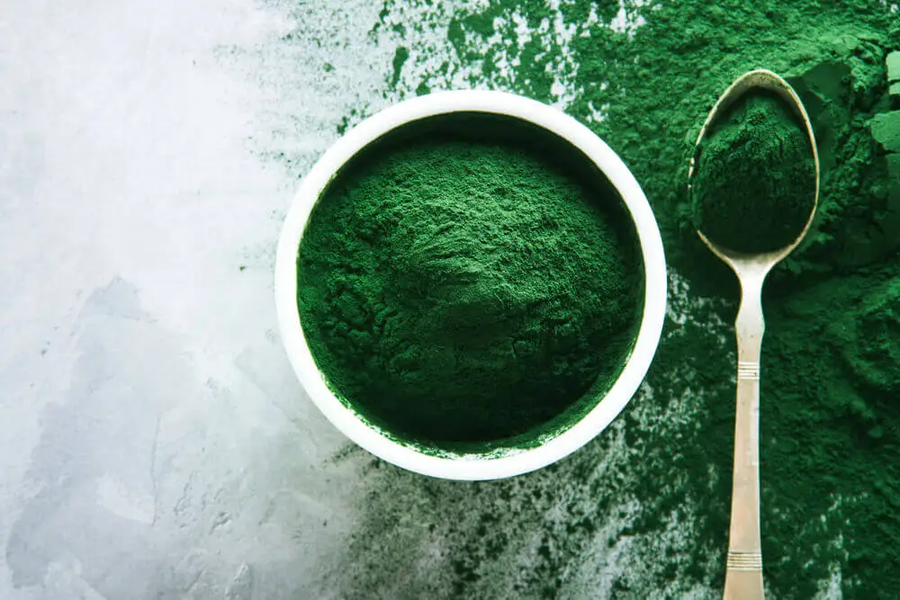 Alga espirulina en polvo.