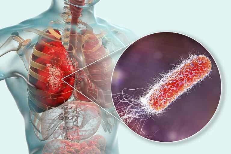 ¿Existen bacterias en los pulmones?