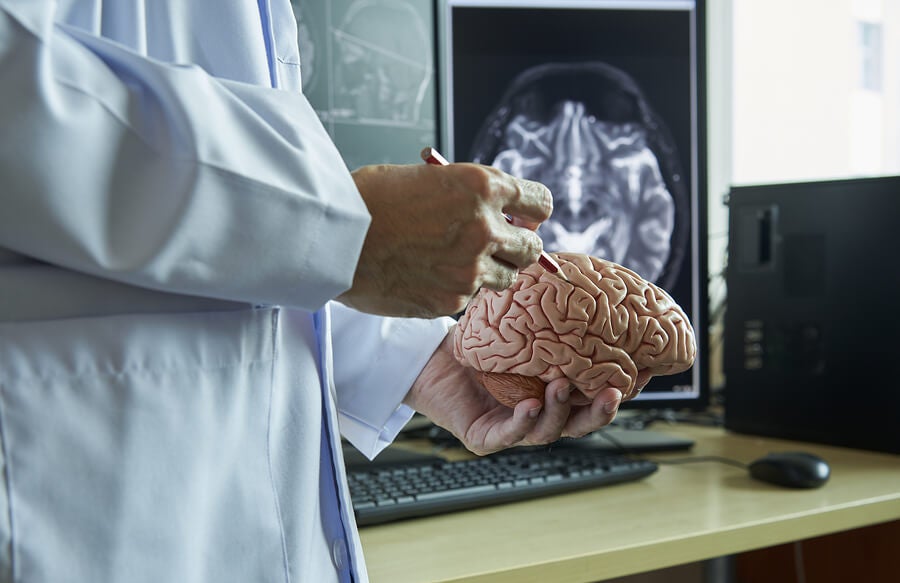 ¿Cómo afecta la insulina al cerebro?