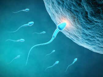 La influencia de la alimentación en el esperma