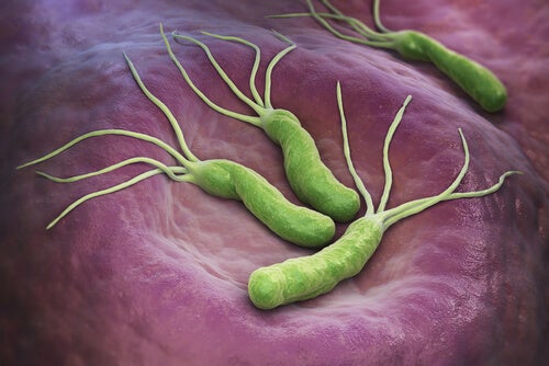 Helicobacter pylori y cáncer: ¿están relacionados?