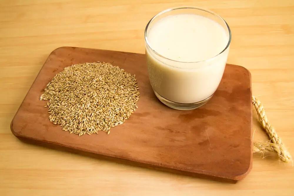 Bebidas vegetales, un sustituto de la leche
