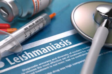 ¿Es contagiosa la leishmaniasis?