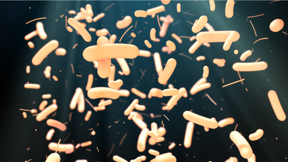 Bacterias que forman microbiota