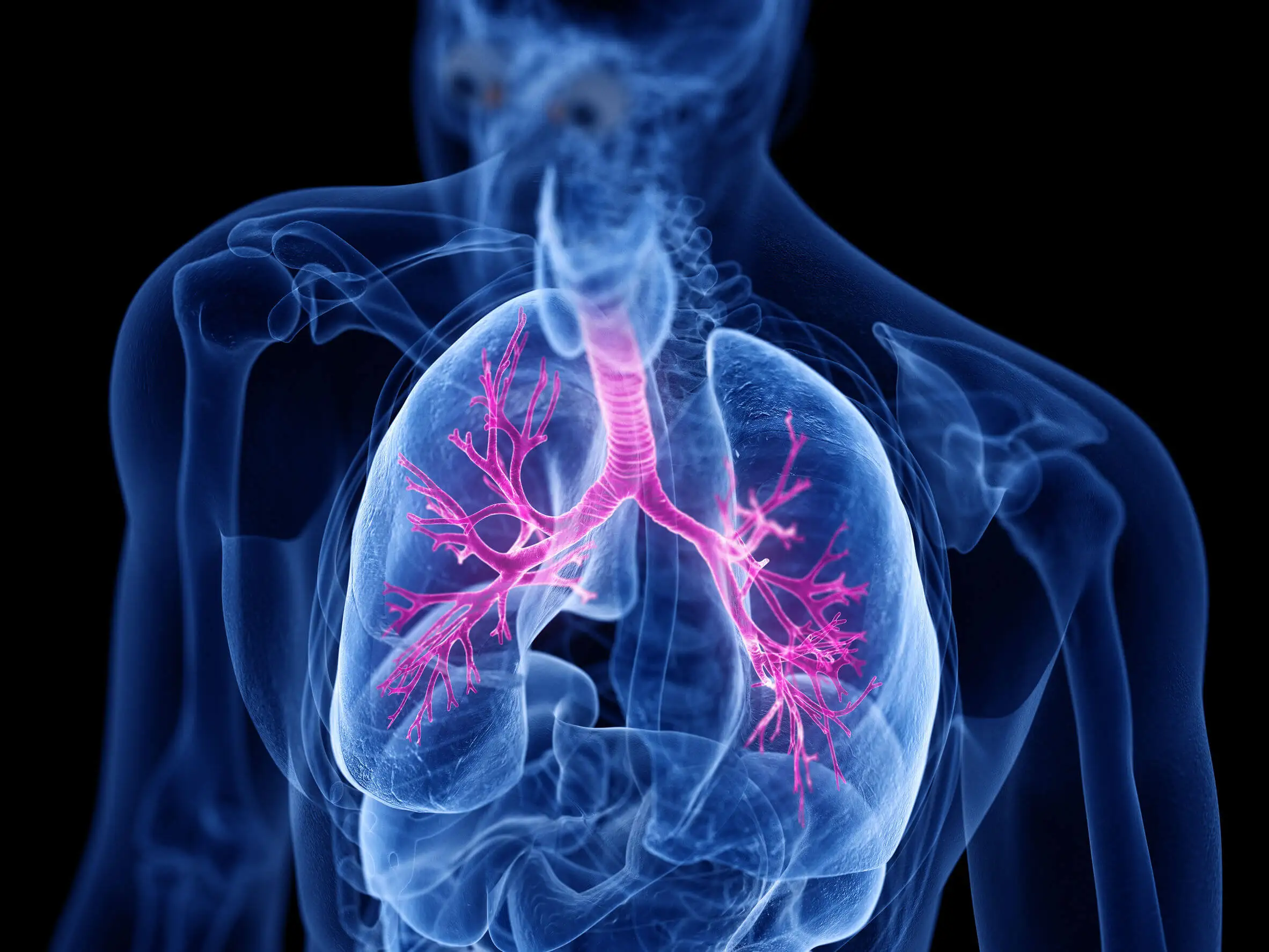 Pulmones afectados por el fracking.