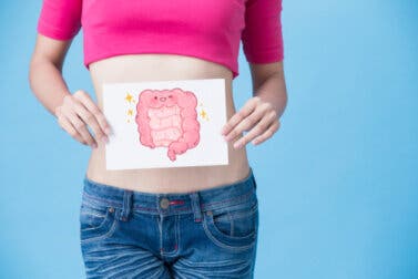 Tipos de fibras que más ayudan a la microbiota