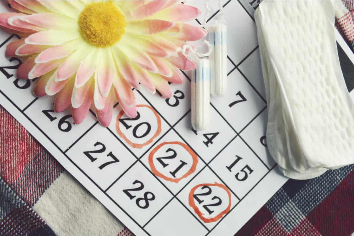 Ciclo menstrual y calendario.