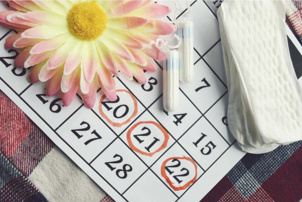 Ciclo menstruasjon og kalender.