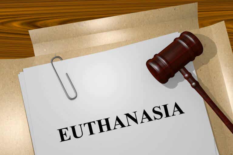Tipos de eutanasia que debes conocer