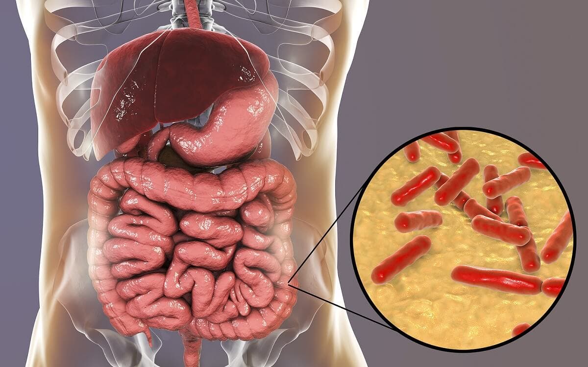 ¿Cómo saber si la flora intestinal está dañada?