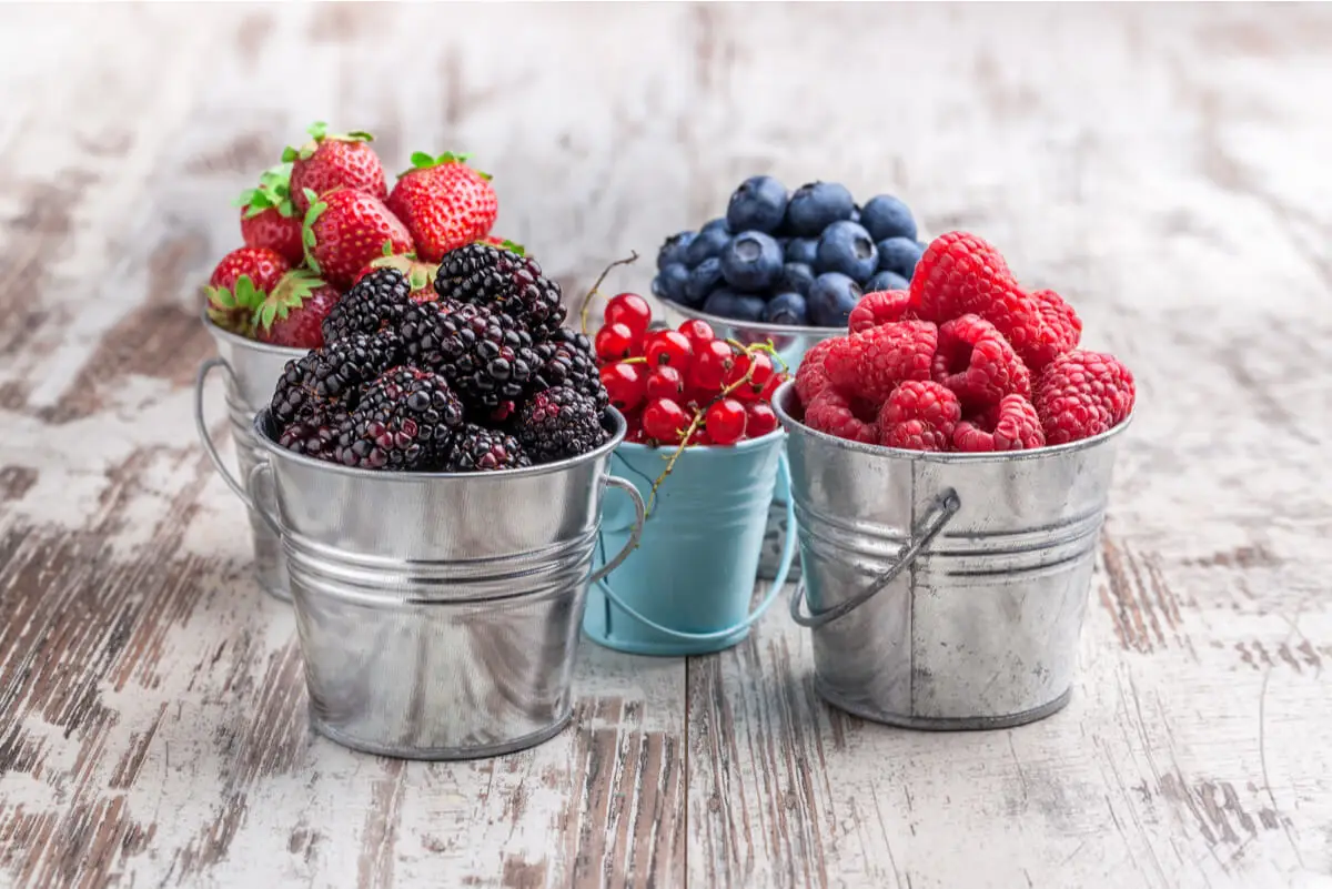 Frutos rojos