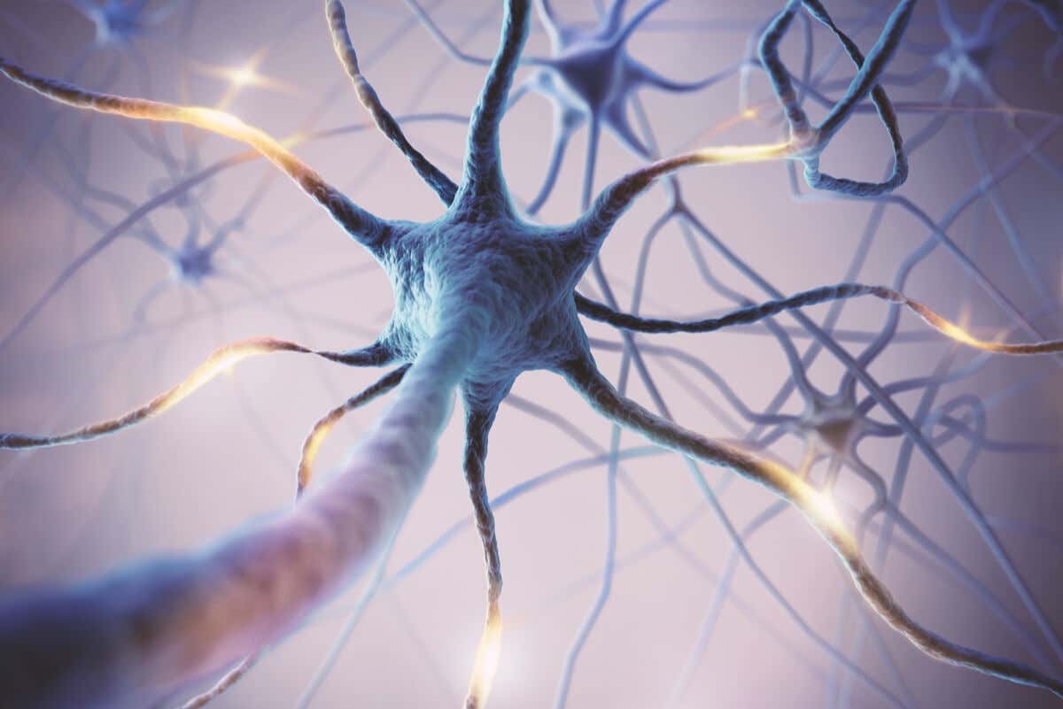 Neuronas atacadas en la leucoencefalopatía multifocal progresiva.