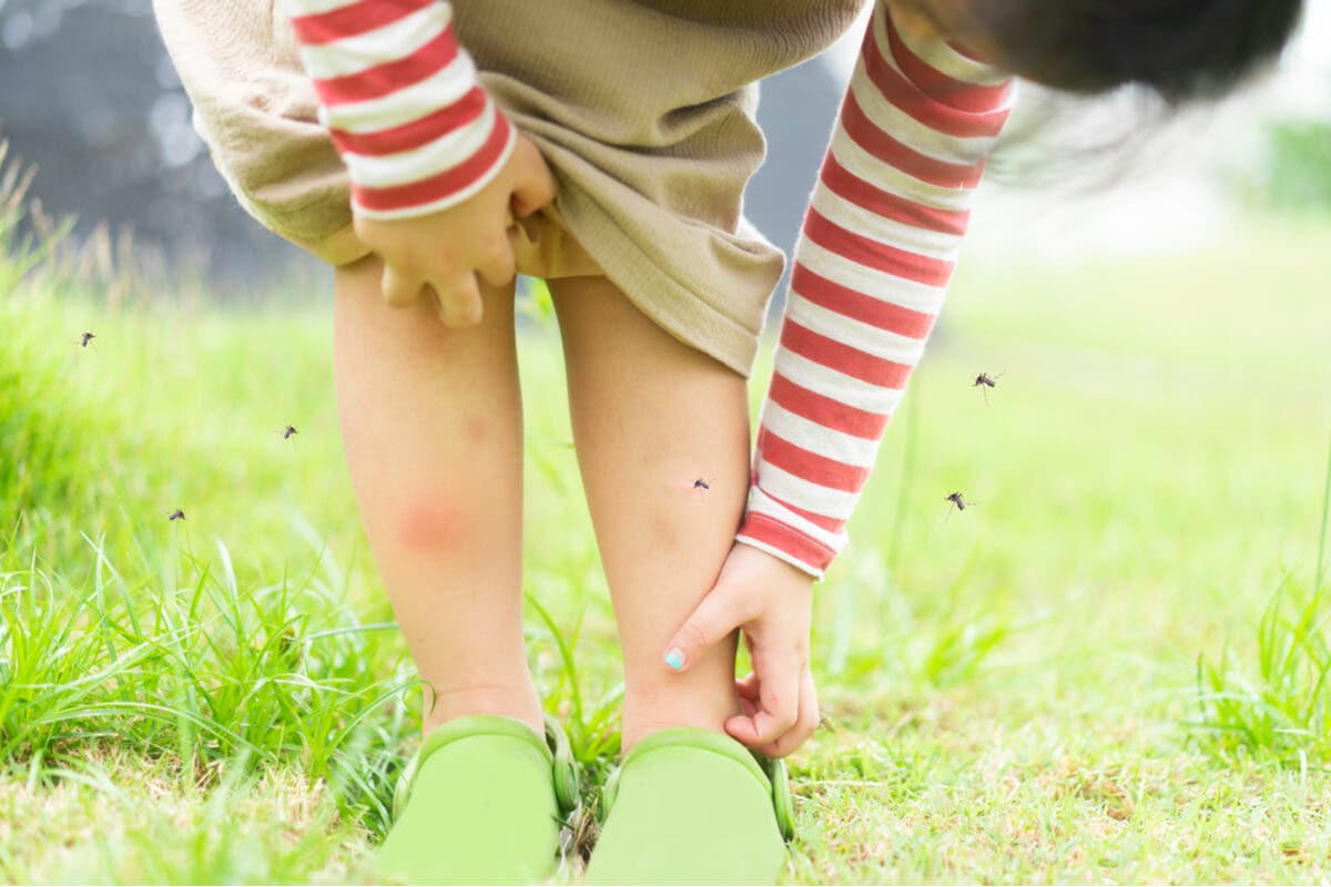 Mosquitos pican a niña