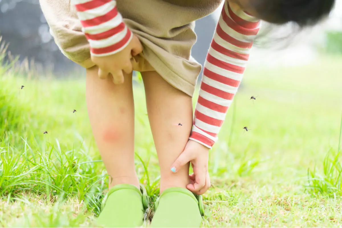 Mosquitos pican a niña
