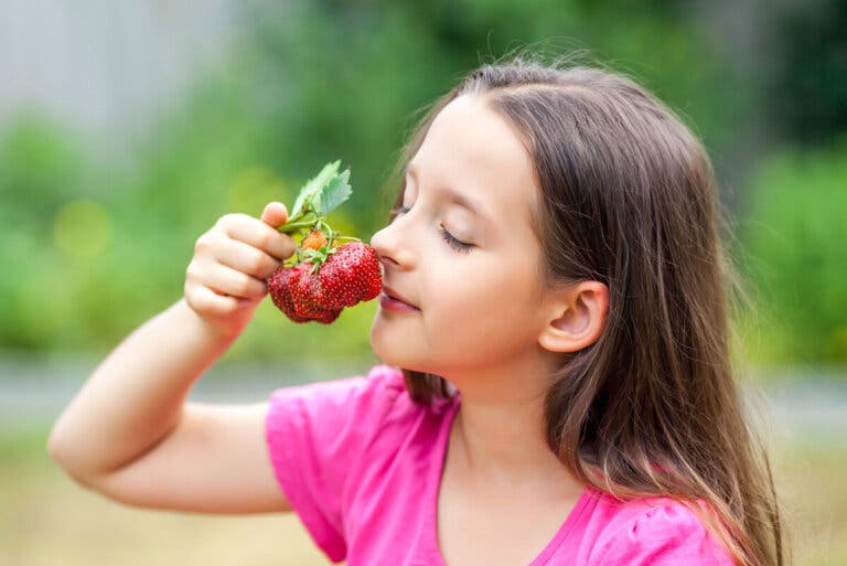 Cómo percibe los olores el cerebro
