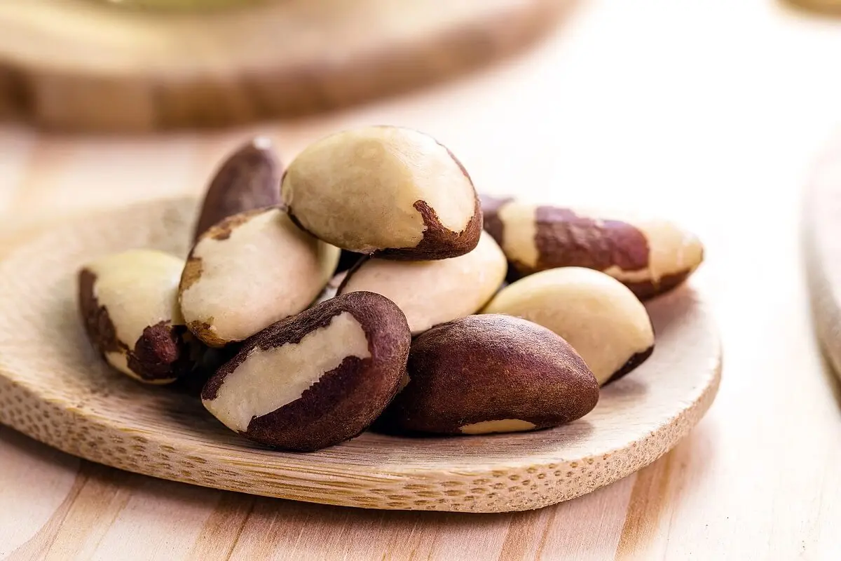 Valores nutricionales de las nueces de Brasil