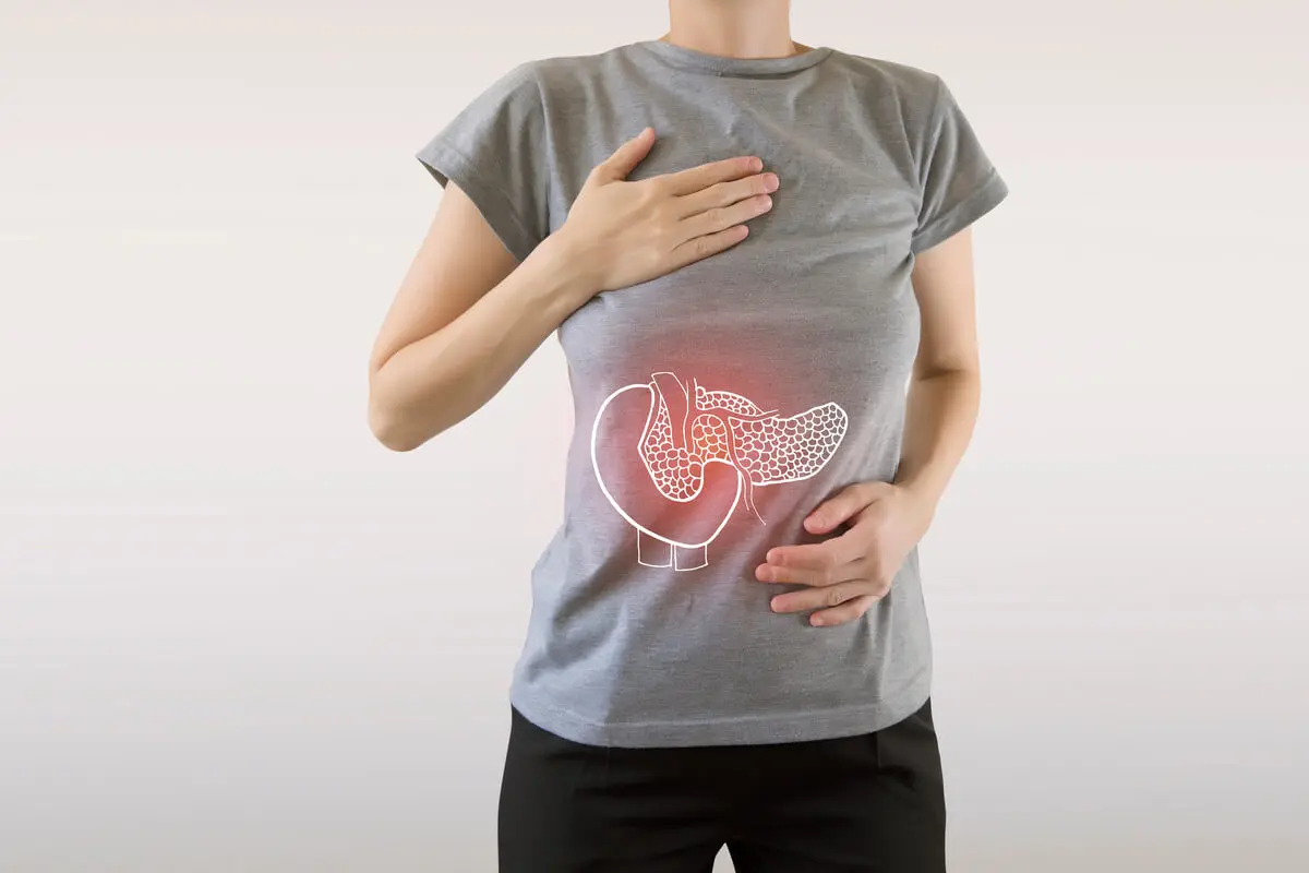Páncreas ubicado en el cuerpo