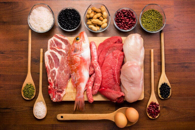 ¿Cómo actúan y cuál es la función de las proteínas en el cuerpo?