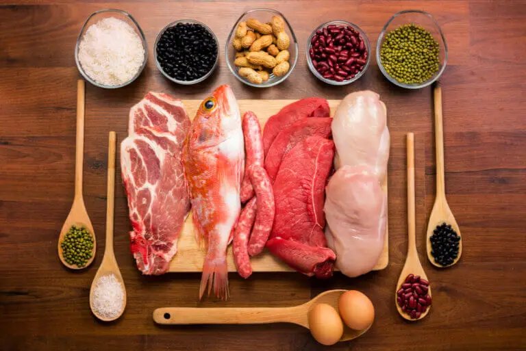 ¿Cómo actúan y cuál es la función de las proteínas en el cuerpo?