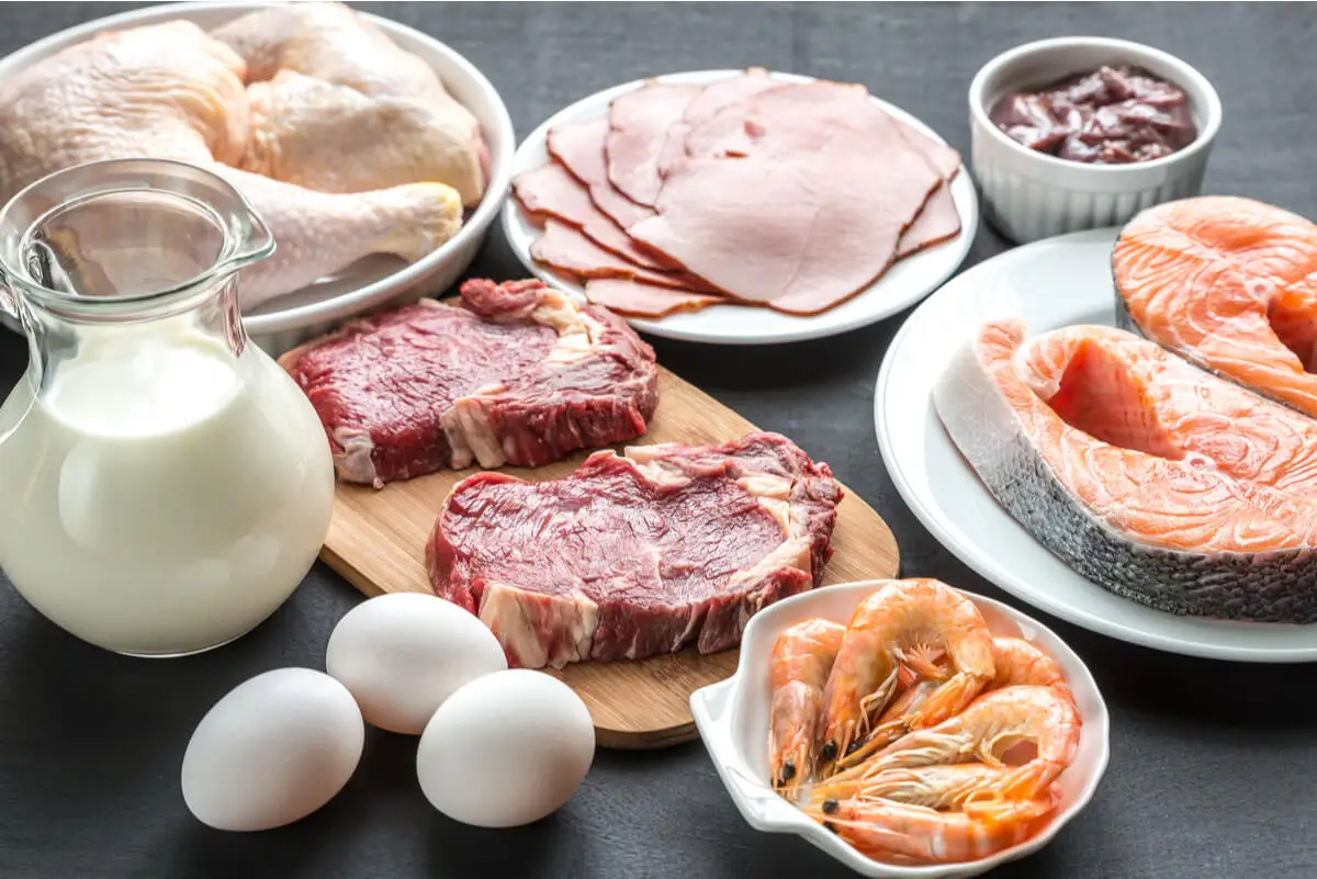 Fuentes de proteínas