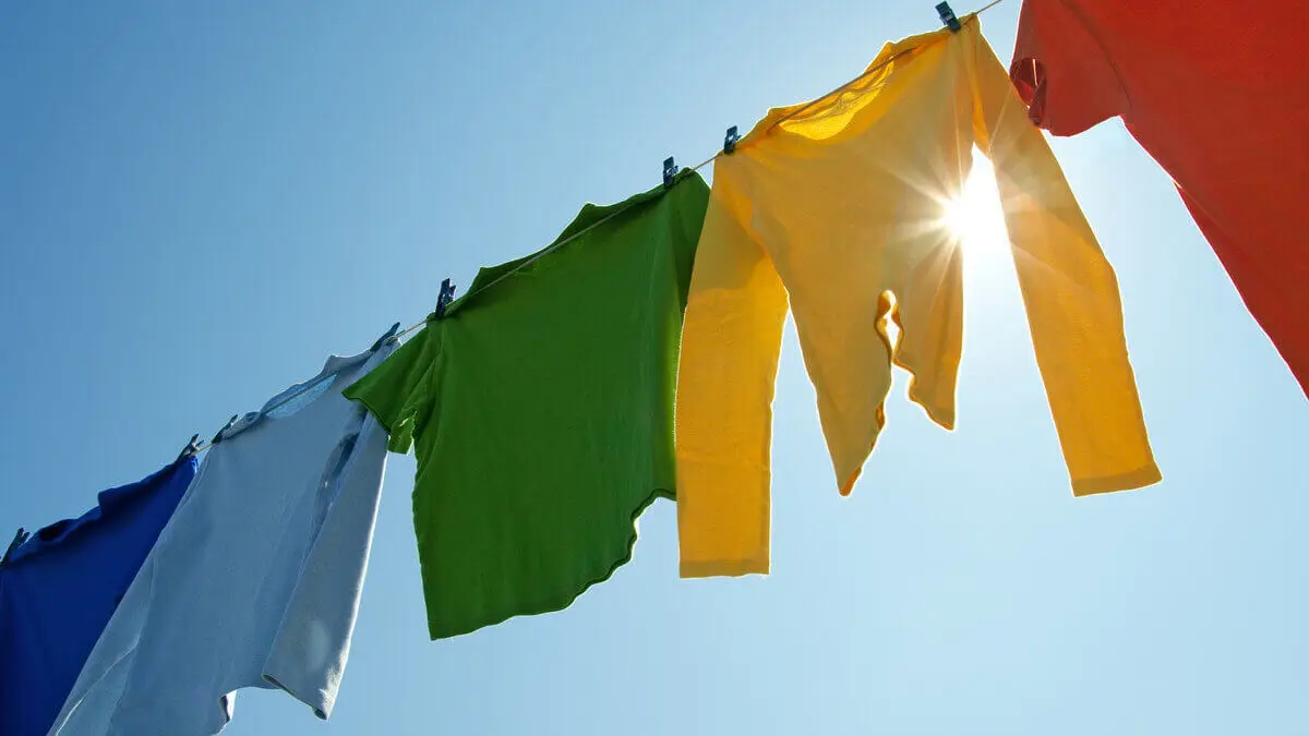 Secado al sol para eliminar las pulgas.