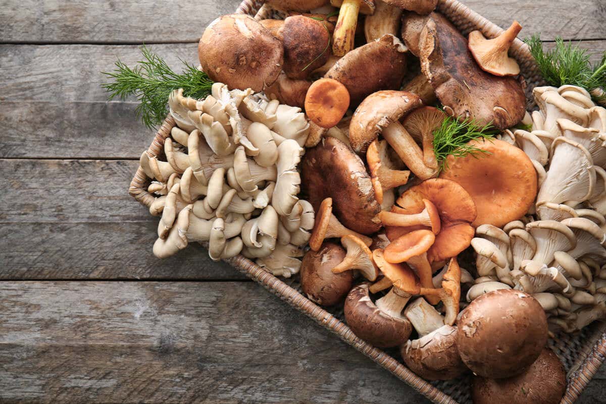 Some mushrooms.