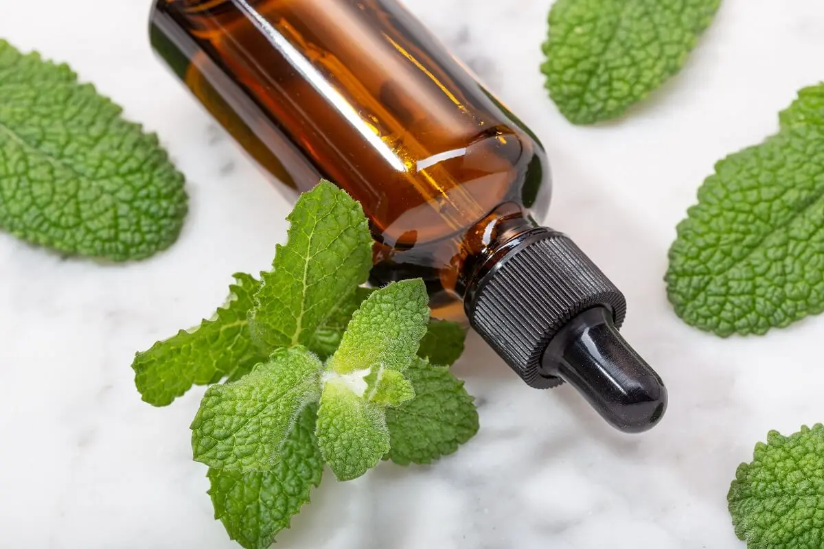 Aceite esencial de menta para la caspa.