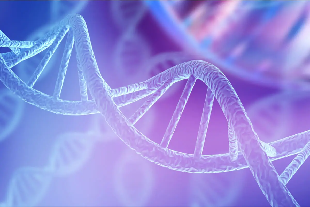 Ehlers-Danlos-Syndrom - DNA-Strang
