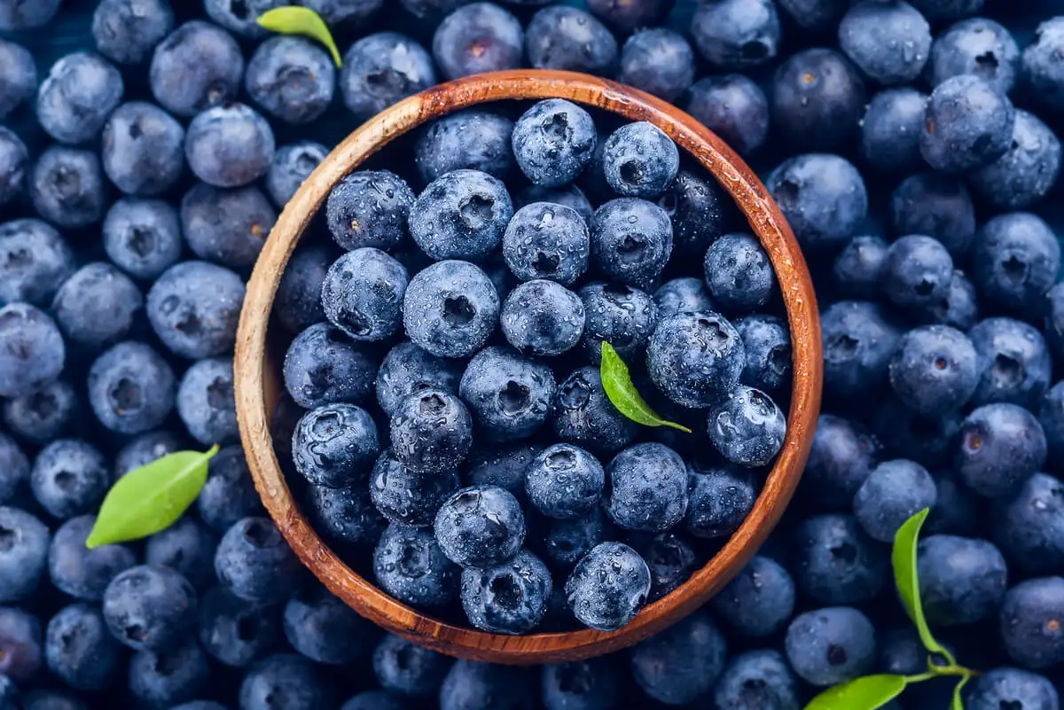 Arándanos azules