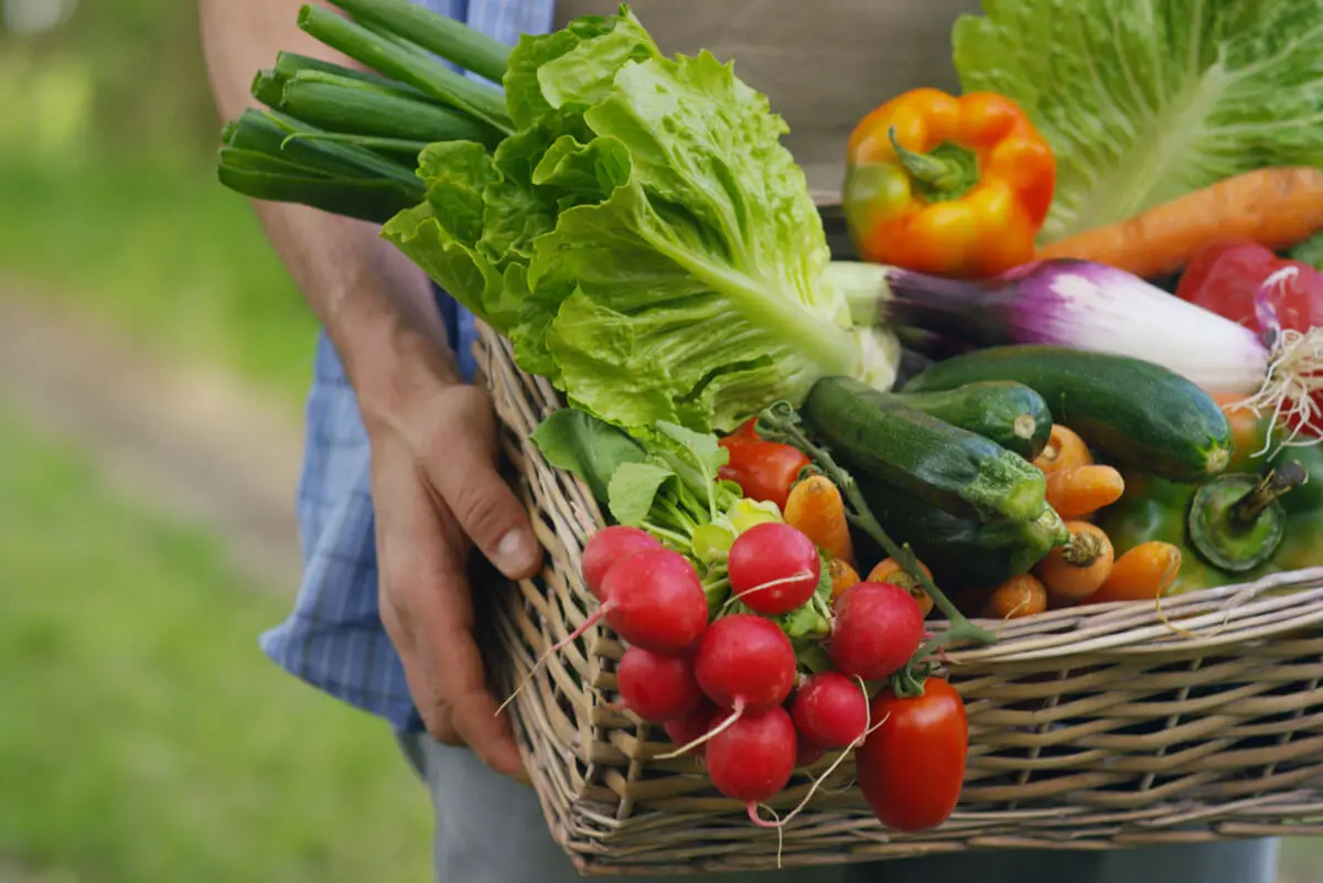 Canasto con verduras.