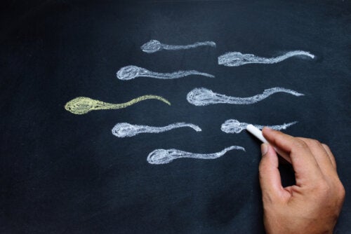 6 formas de aumentar la testosterona