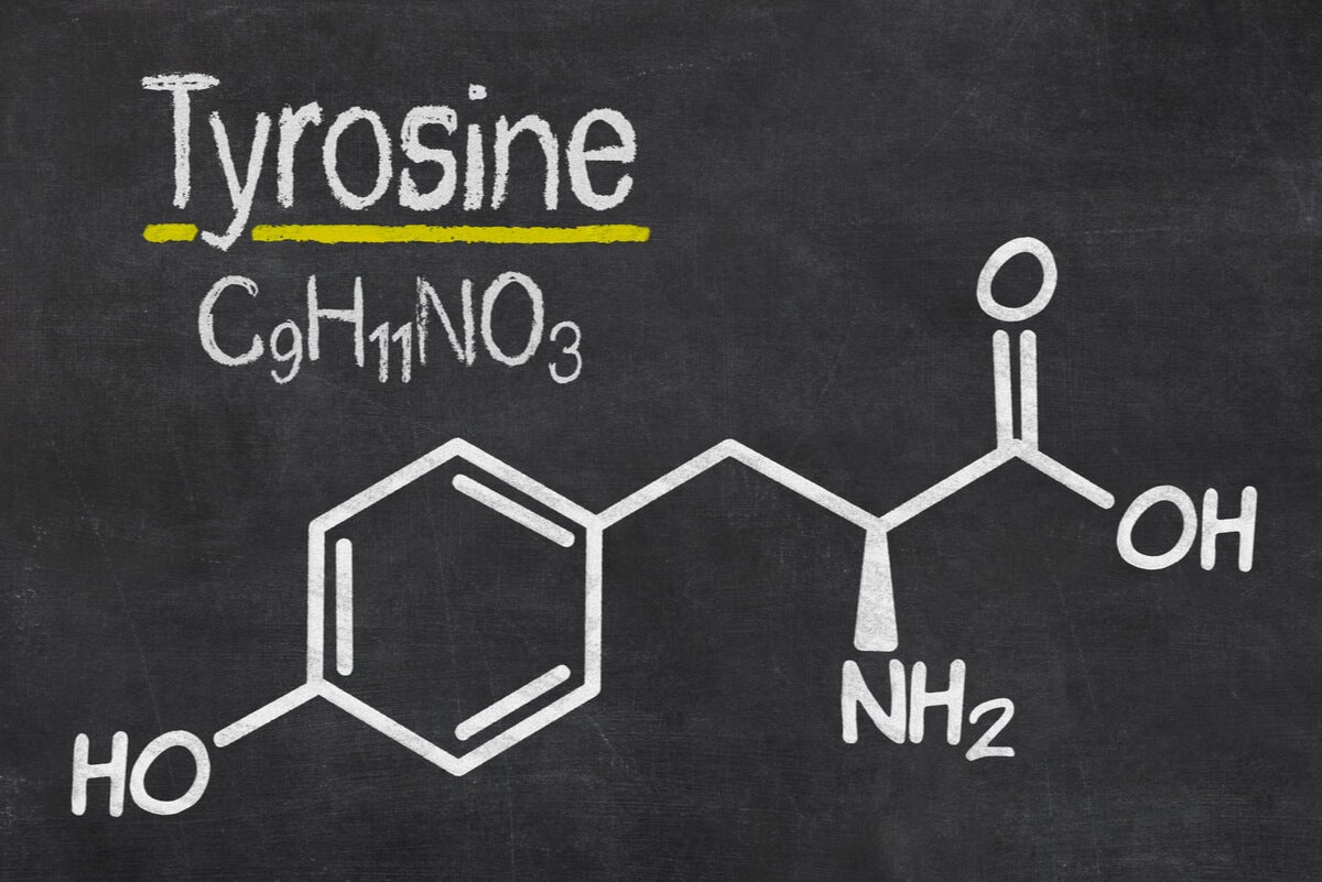 ¿Qué es y para qué sirve la tirosina? - CMBY Radio Caribe