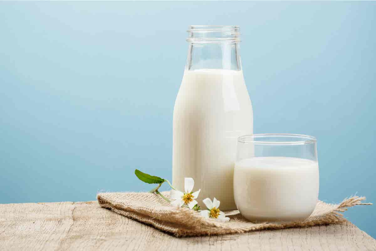 Caseinato de sodio derivado de los lácteos