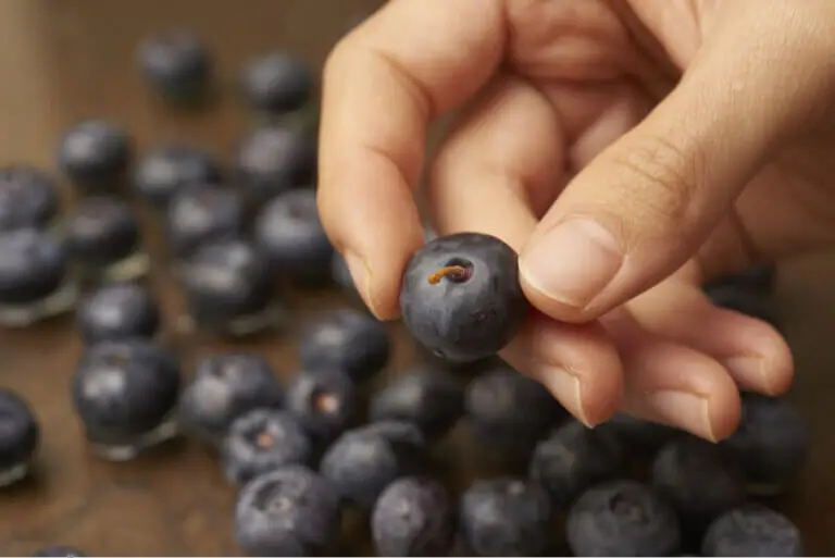 5 beneficios de los arándanos para la piel