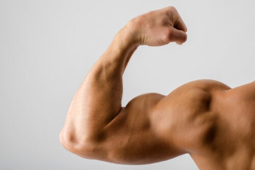 6 alimentos que ayudan a aumentar la masa muscular