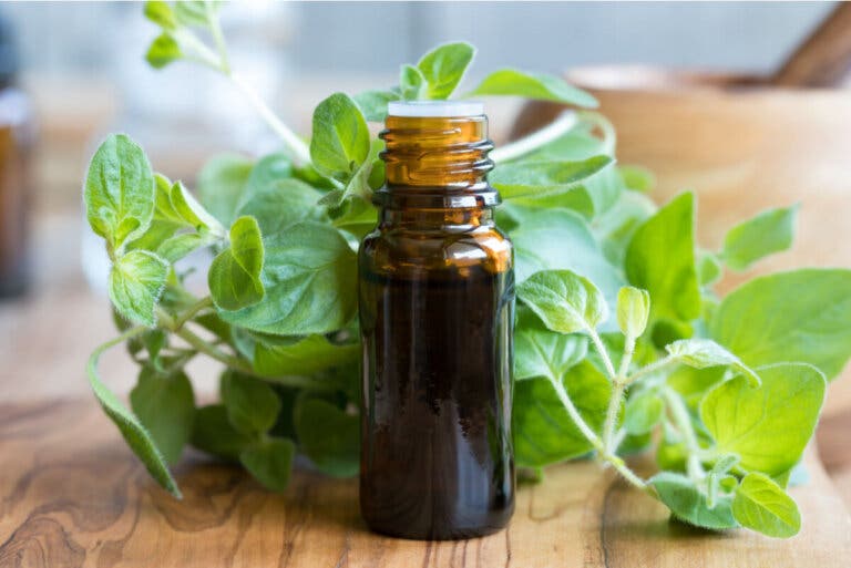 Cómo limpiar el sistema respiratorio con aceite de orégano
