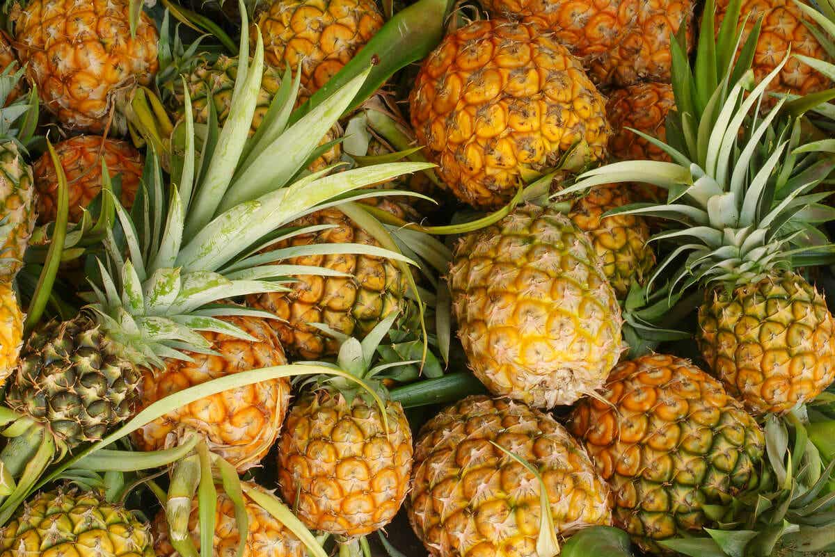 bromelain pineapple