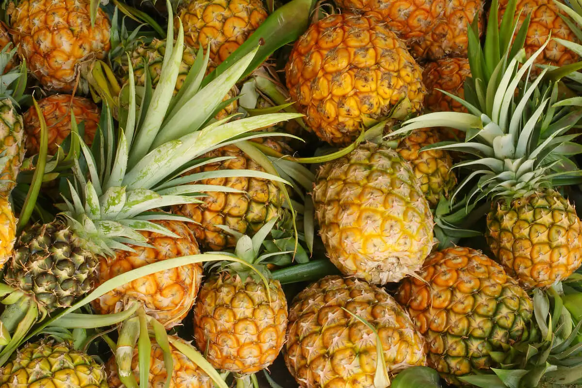 Piñas.