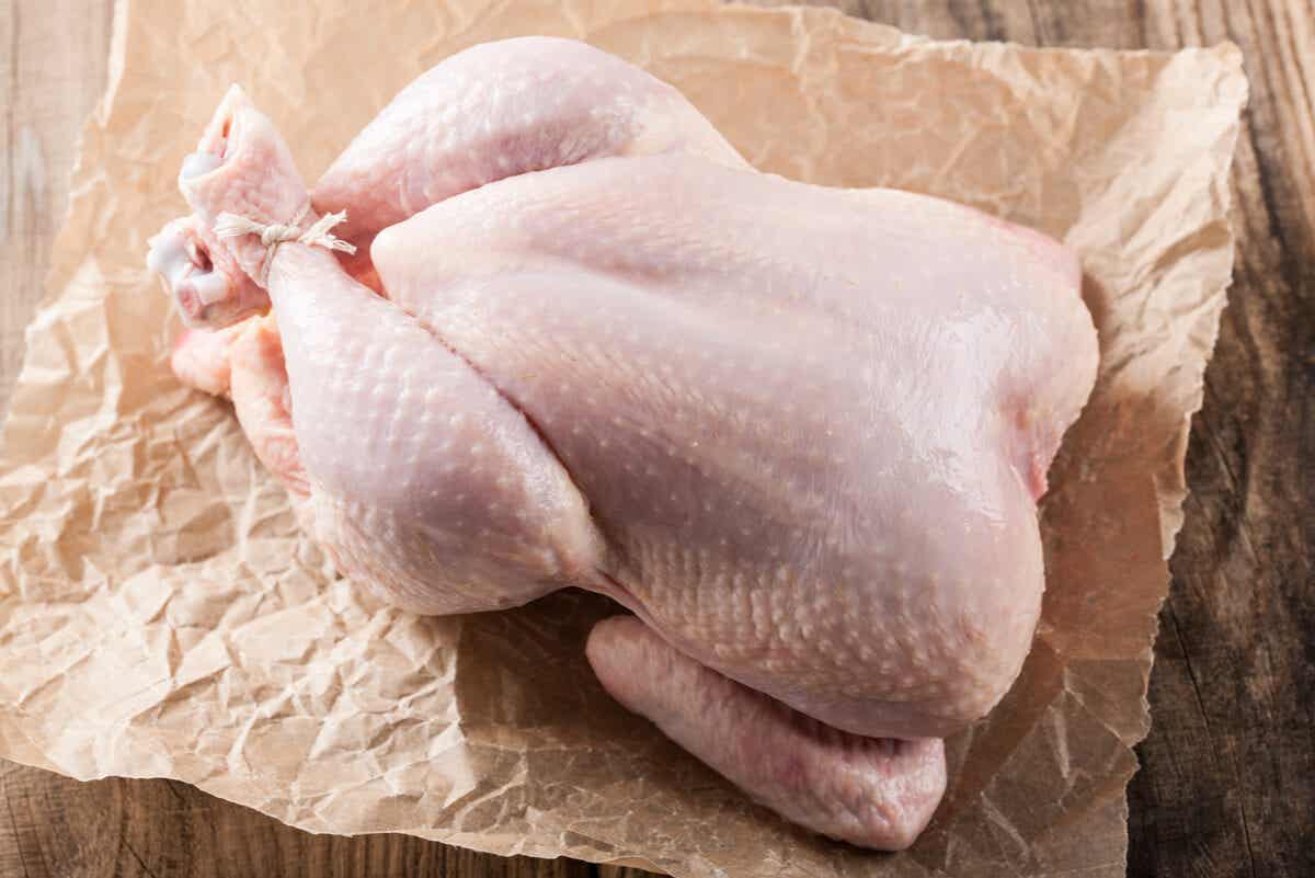 Carne de pollo for recuperar proteiner.