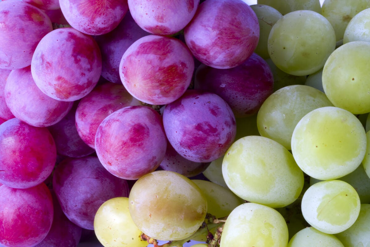 Czerwone i białe winogrona.