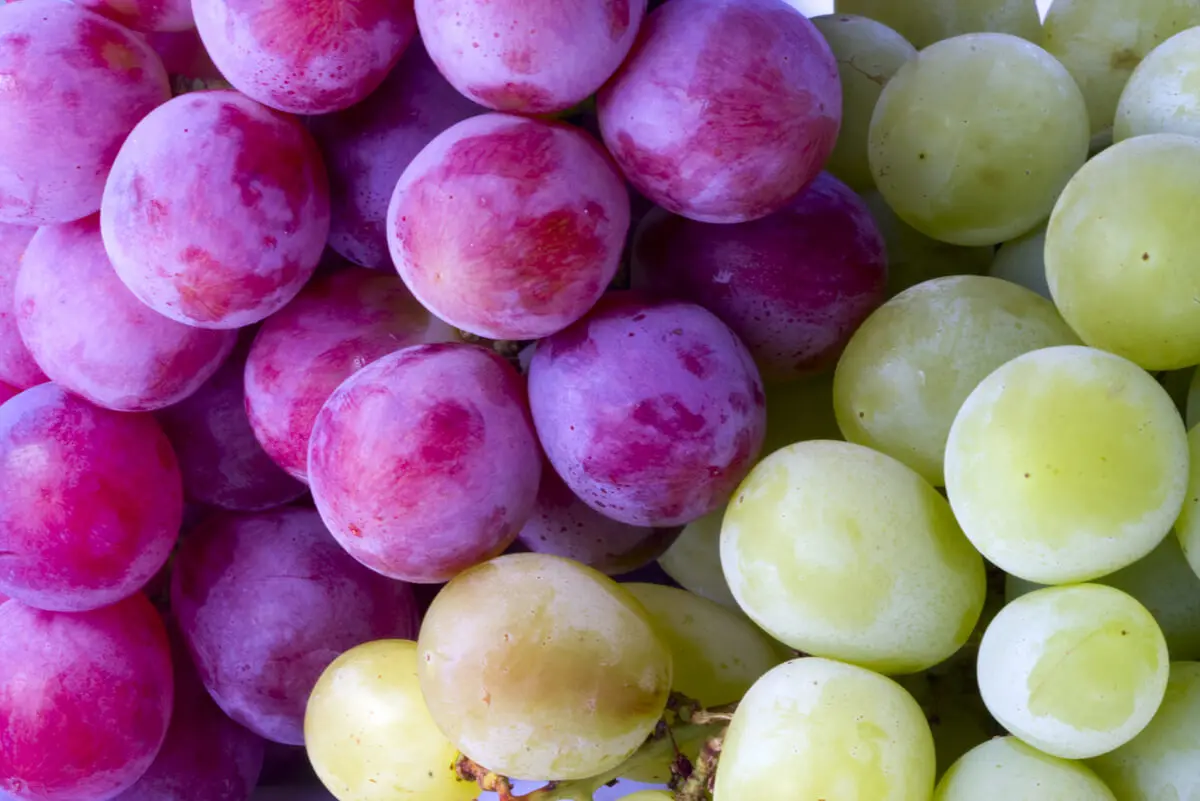 Uvas con contenido de flavonoides.