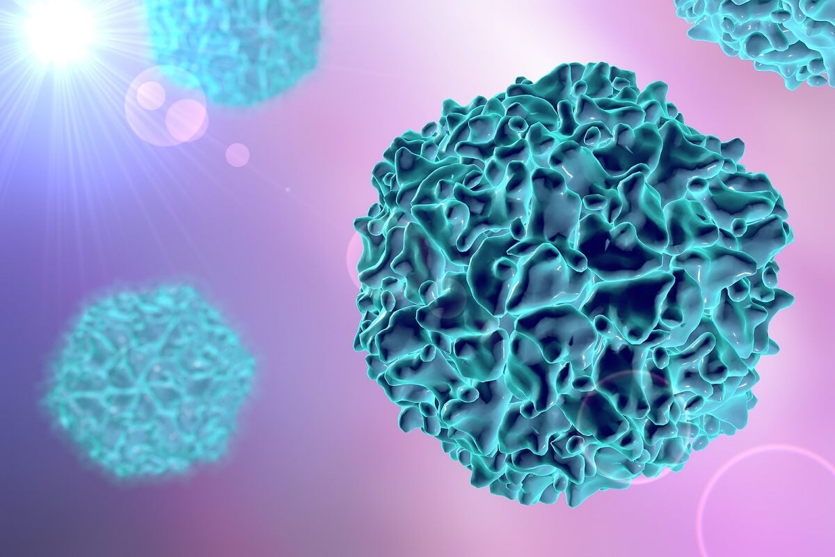 Virus de la poliomyélite.