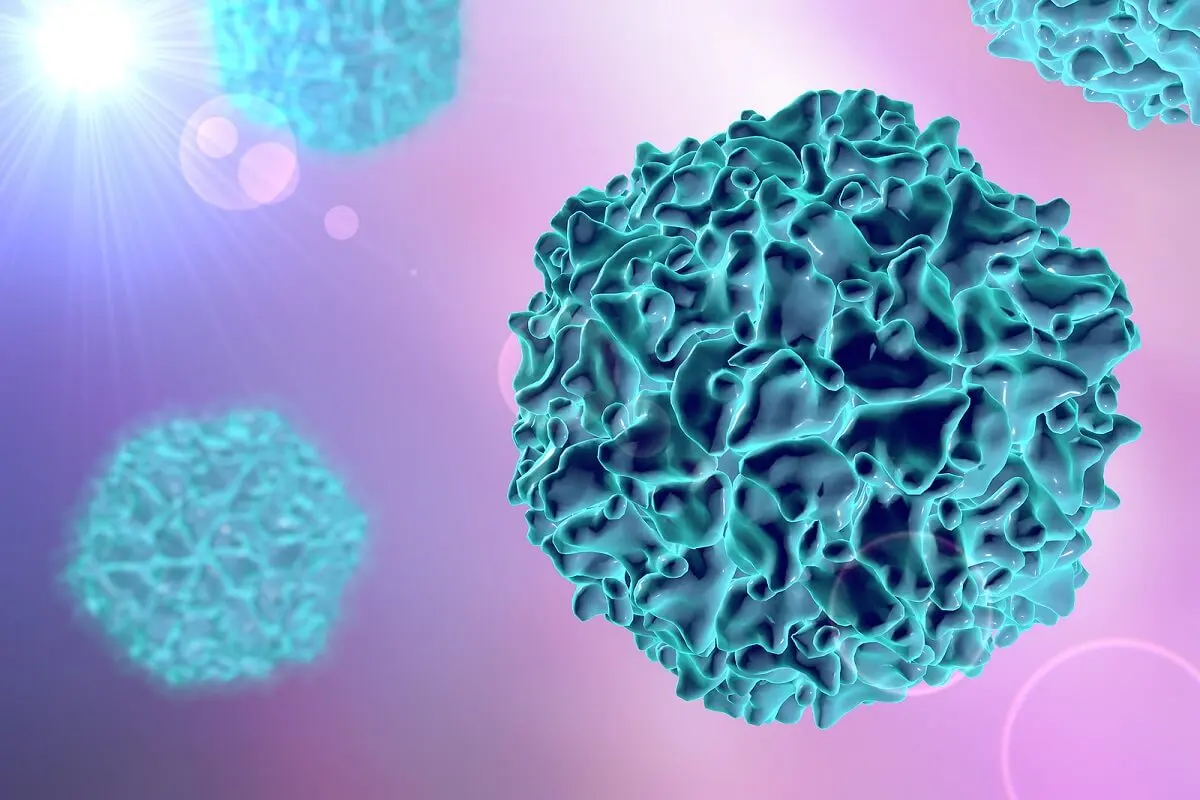Virus de la poliomyélite.