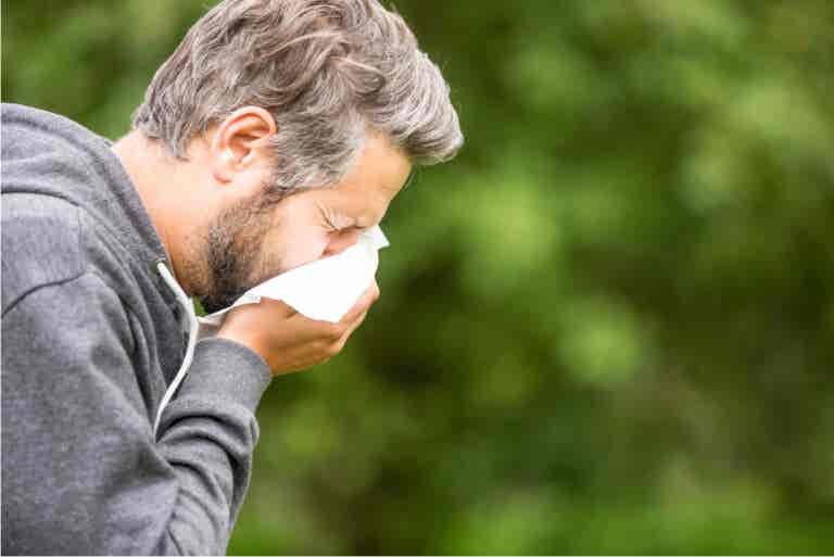 ¿Cuáles son las causas de la congestión nasal?