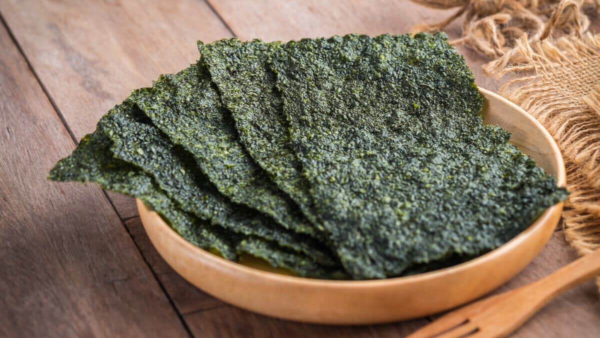 Algas nori para acelerar el metabolismo.