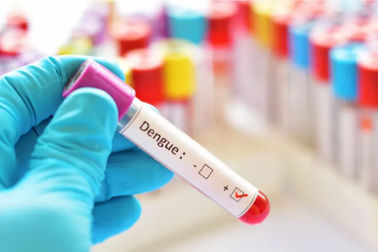 Dengue en niños: síntomas, causas y tratamientos