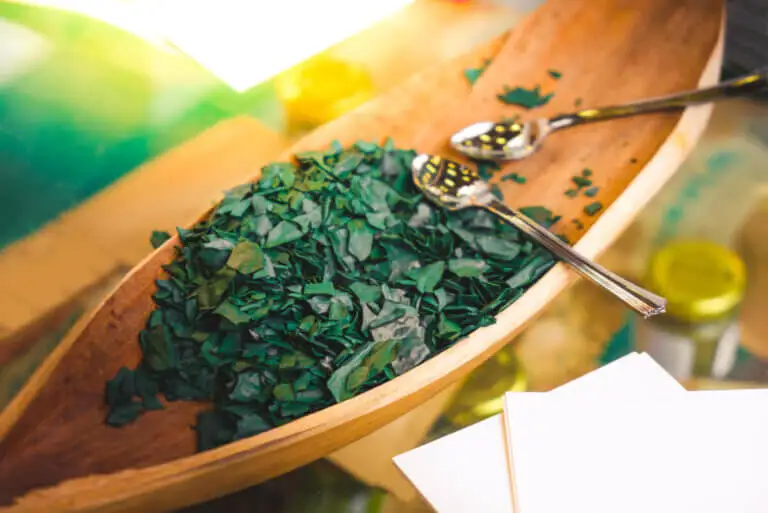 5 precauciones y contraindicaciones ante el consumo de la espirulina