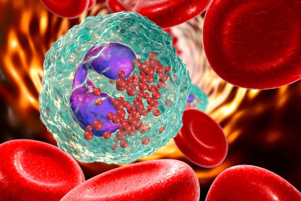 Células sanguíneas afectadas por la aplasia medular.